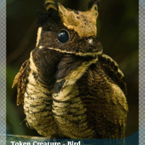 Bird