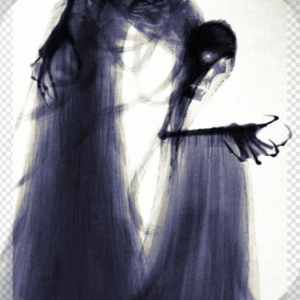 Spirit